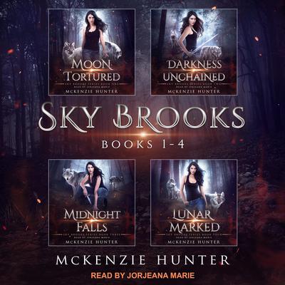 Sky Brooks by McKenzie Hunter audiobook