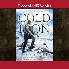 Cold Iron by Stina Leicht audiobook