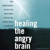 Healing the Angry Brain by  Ronald T. Potter-Efron MSW PhD audiobook
