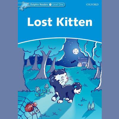 Lost Kitten by Di Taylor audiobook