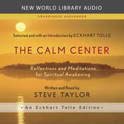The Calm Center by  Steve Taylor PhD audiobook