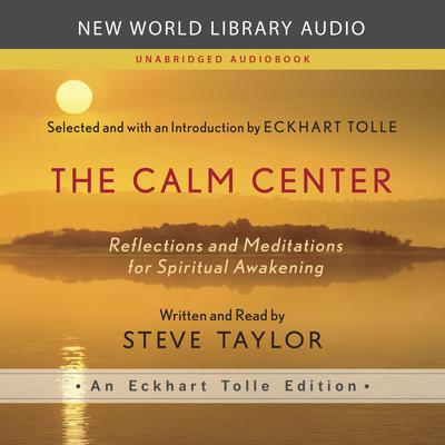The Calm Center by Steve Taylor audiobook
