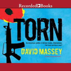 Torn by David Massey audiobook