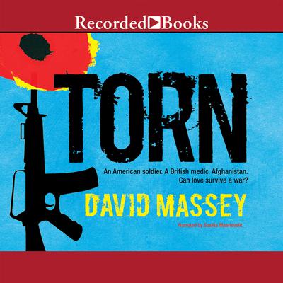 Torn by David Massey audiobook
