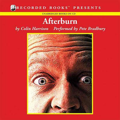 Afterburn by Colin Harrison audiobook