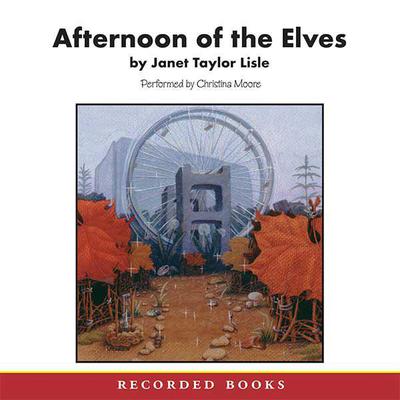 Afternoon of the Elves by Janet Taylor Lisle audiobook