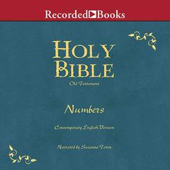 Holy Bible: Numbers Volume 4 by Various  audiobook