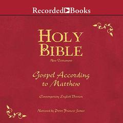 Holy Bible Gospel According To Matthew Volume 22 by Various  audiobook