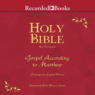 Holy Bible Gospel According To Matthew Volume 22 by Various  audiobook