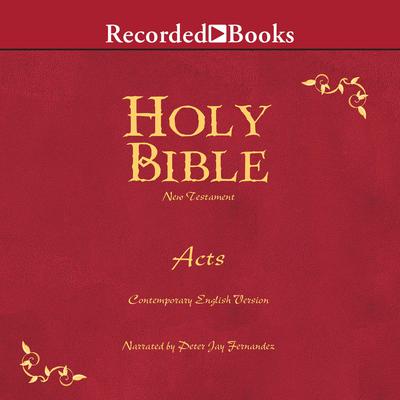 Holy Bible Acts by Various  audiobook