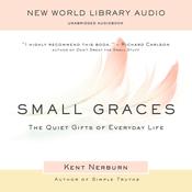 Small Graces by  Kent Nerburn audiobook
