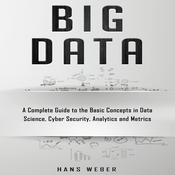 Big Data by  Hans Weber audiobook