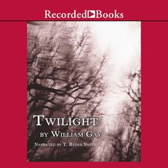 Twilight by William Gay audiobook