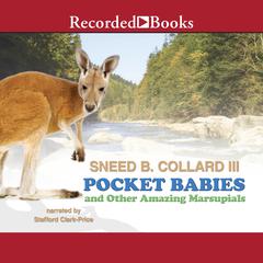 Pocket Babies and Other Amazing Marsupials by Sneed B. Collard audiobook
