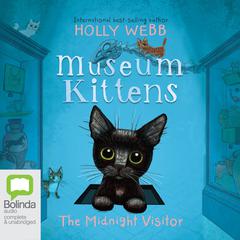 The Midnight Visitor by Holly Webb audiobook