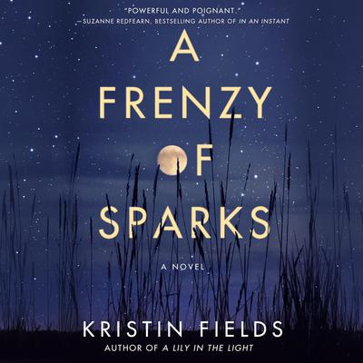 A Frenzy of Sparks by Kristin Fields audiobook