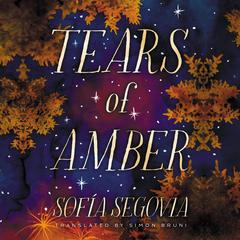 Tears of Amber by Sofia Segovia audiobook