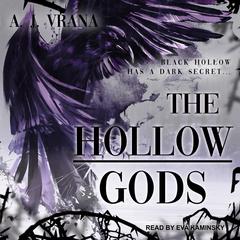 The Hollow Gods by A.J. Vrana audiobook