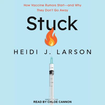 Stuck by Heidi J. Larson audiobook