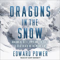 Dragons in the Snow by Ed Power audiobook