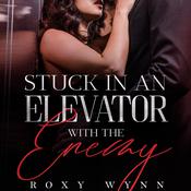 Stuck in an Elevator With the Enemy by  Roxy Wynn audiobook
