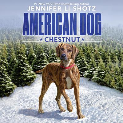 Chestnut by Jennifer Li Shotz audiobook