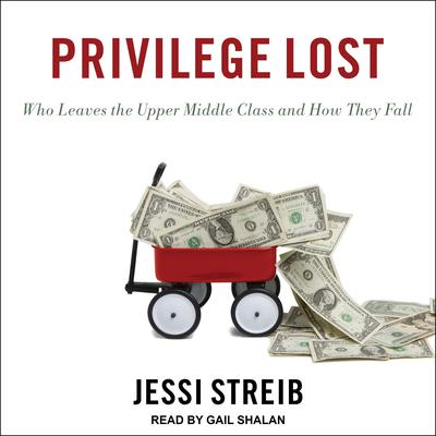 Privilege Lost by Jessi Streib audiobook