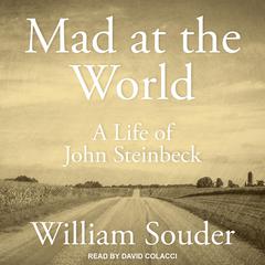 Mad at the World by William Souder audiobook