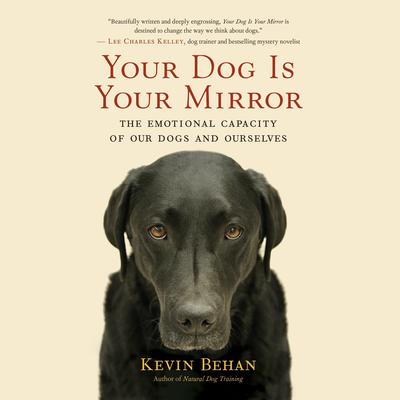Your Dog Is Your Mirror by Kevin Behan audiobook