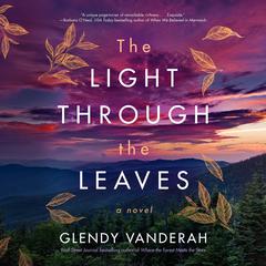 The Light Through the Leaves by Glendy Vanderah audiobook