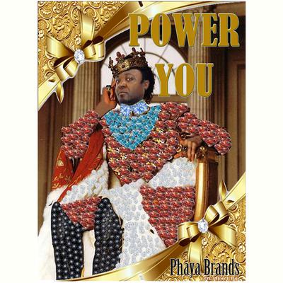 Power You by PHAYA BRANDS audiobook