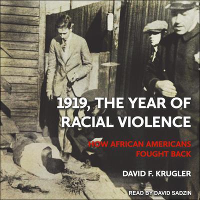 1919, The Year of Racial Violence by David F. Krugler audiobook