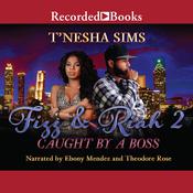 Fizz and Riah 2 by  T'Nesha Sims audiobook