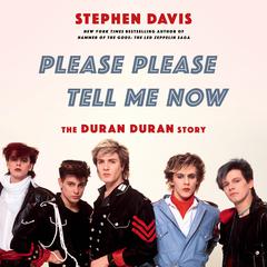 Please Please Tell Me Now by Stephen Davis audiobook