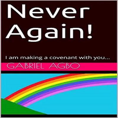 Never Again! by Gabriel  Agbo audiobook