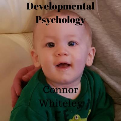 Developmental Psychology by Connor Whiteley audiobook