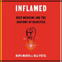 Inflamed by Raj Patel audiobook
