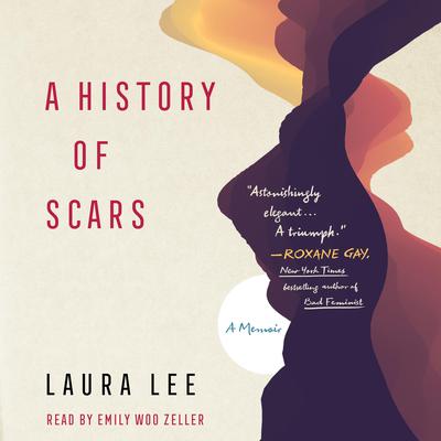 A History of Scars by Laura Lee audiobook