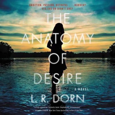 The Anatomy of Desire by L. R. Dorn audiobook