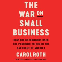 The War on Small Business by Carol Roth audiobook