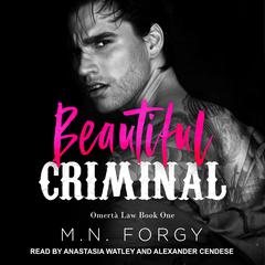 Beautiful Criminal by M. N. Forgy audiobook
