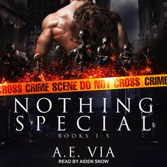 Nothing Special Series Box Set by A.E. Via audiobook
