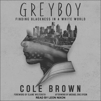 Greyboy by Cole Brown audiobook