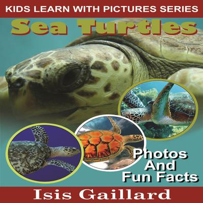 Sea Turtles by Isis Gaillard audiobook