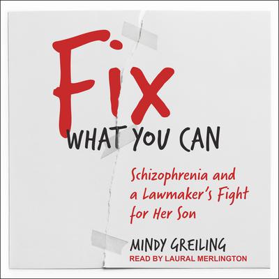 Fix What You Can by Mindy Greiling audiobook