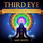 Third Eye by  Amy White audiobook