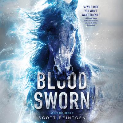 Bloodsworn by Scott Reintgen audiobook
