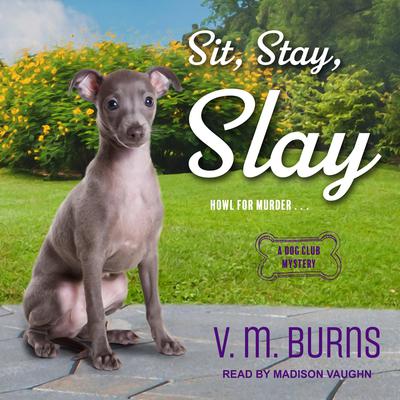 Sit, Stay, Slay by V.  M. Burns audiobook
