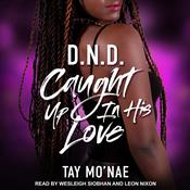 DND by  Tay Mo'nae audiobook