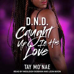DND by Tay Mo'nae audiobook